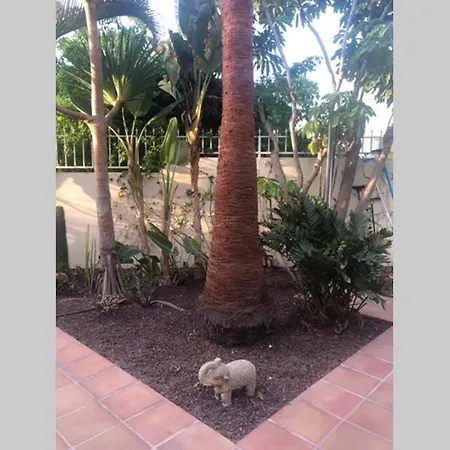 Luis * Playa de las Americas (Tenerife)